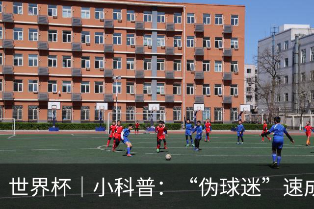 世界杯｜小科普：“伪球迷”速成手册